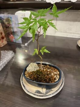 社長のなぞの趣味  part 1...？