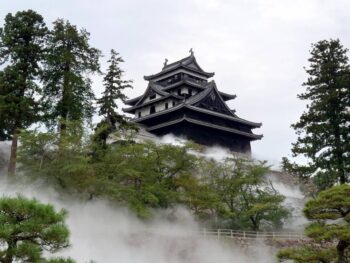 Nのブログ、第2回になります😄